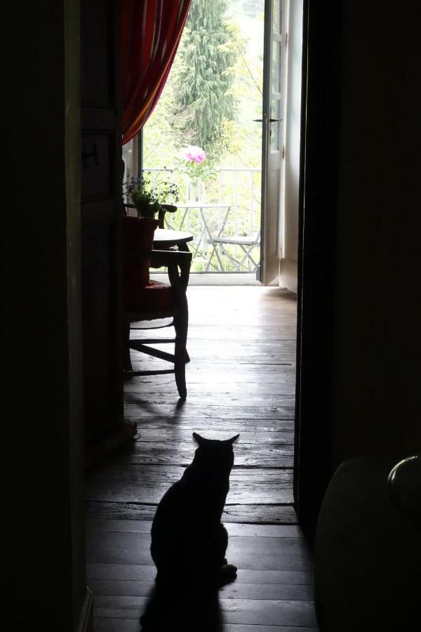 Residence Crone Castillon-en-Couserans ภายนอก รูปภาพ